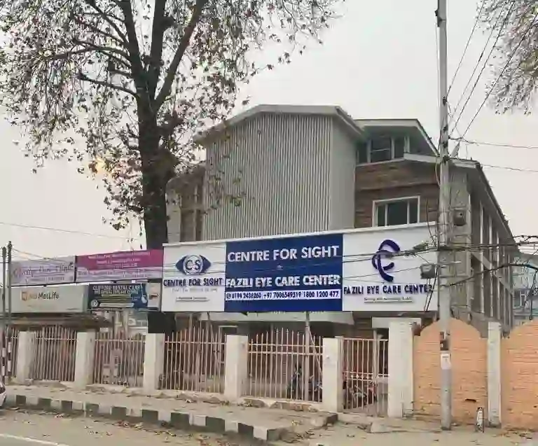 Srinagar  centre