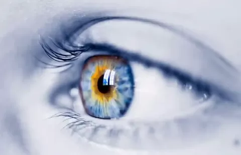 Everything You Need to Know About LASIK Eye Surgery
