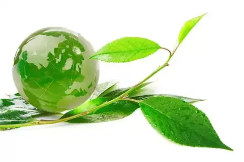 How Air Pollution Affects Your Eyes: Problem and Remedies