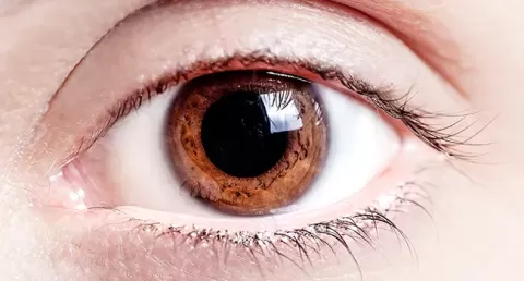 Dilated Pupils (Mydriasis): What You Need to Know