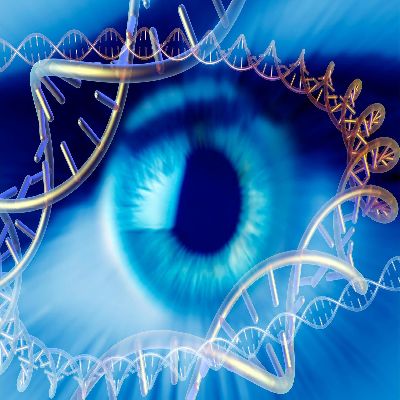 Family History & Genetic factors